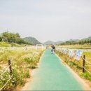 용장천 이미지