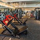 옐로우 짐 이미지