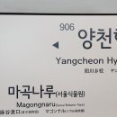 2023.08.19 일기 (+친절한 영숙씨, 뮤지컬 배우 신영숙 콘서트)