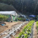 분당-279 이미지