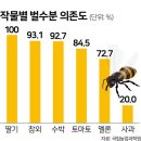 꿀벌 80억마리 집단 실종 &#39;부메랑&#39;... 식탁 물가 위협한다(한국일보) / ﻿[빛viit명상] ﻿[SW정광호의 행복칼럼]꿀벌실종사건 이미지