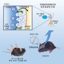 공감 머니투데이