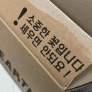하양지구10 | [꽃정기구독] 꽃피는지구 종류 다양한 꽃다발 꽃배달싼곳