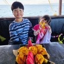 필리핀 5박7일 후기<세부플러스호핑>