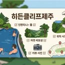 제주네이쳐 금천지점 | 히든클리프 제주 숙박 후기 및 호캉스 꿀팁