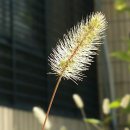 워리워리 이미지