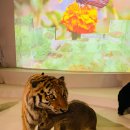 국립중앙과학관 노동조합 | 주말 가족 나들이 추천! 국립과천과학관 자연사관 솔직 후기