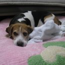 불광유치원 이미지