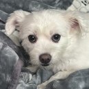 충현로1(동) 이미지