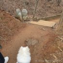 옹진수협공판장 1층 | [인천] 강아지와 함께 서울근교 가볼만한 곳 애견동반 펜션 식당 코스