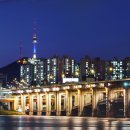 달빛에 물들이고 이미지