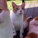 종원농장 이미지