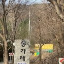 동가래별빛 이미지