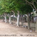 산양중학교 이미지