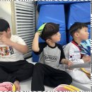 푸른태권도체육관