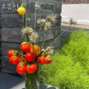 소유산 - 강화군 남문안길 31 | 연남동꽃집 소유산 꽃다발배달 미니화환 주문 가격