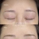 보르다 스튜디오