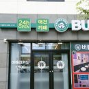 버블독스 영암삼호점 | [목포애견카페]삼호애견카페 버블독스