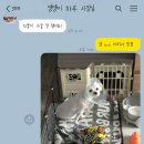 백슬동물병원 이미지