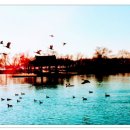 진리와바다 이미지