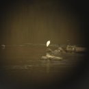 비내길 1구간 이미지