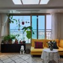 하모리-26 이미지