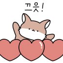 풀하프쿼터 이미지
