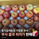 금계농장 | [풍기금계농장 부사 흠과] 가정용 가성비 부사 사과 카카오 톡딜 오픈 한정 수량 안내!📢