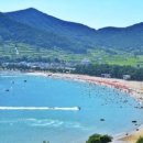 상주유자랜드 이미지