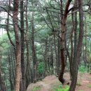 팔공산왕건길 6코스 이미지