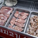 생고기대학교 반송 이미지