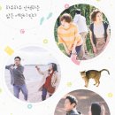 영화 모자산책 정보 삶이란 무엇인가를 묘하게 표현한 출연진들의 진짜 이야기