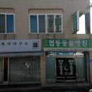 홍성종합동물병원 이미지