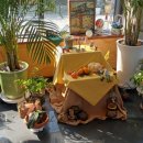 부엔까미노 이미지