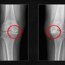 연세스타병원 이미지