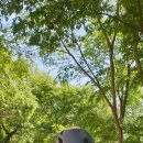 팔마_인공암벽장 이미지