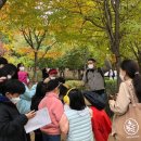 갈매도서관 이미지