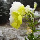 산천초목 이미지