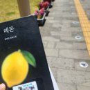 탐라슈퍼