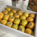 박달농장 네이버블로그