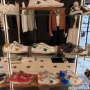 노벨라 별하나 이미지