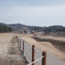 해안어린이집 | 리코 GR4 네거티브 모드로 담은 태안 신두리 해안사구, 서해안의 숨겨진 꿀명소 출사 후기