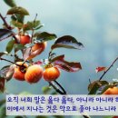 [신천지] 루시엘, 누시엘, 루시퍼? 표현은 여러가지나 한 존재, 범죄한 천사장! 이미지