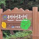 용현자연휴양림 야영장 이미지