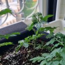 조은에스앤티 이미지