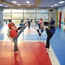 액션 멀티짐 태권도장 이미지