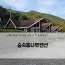 숲속통나무펜션 | 남해 숲속통나무펜션! 내돈내산 대가족 단체여행 숙소 추천