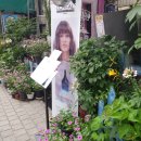 미미이용원