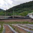 신동3리 이미지