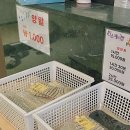 퀸스애비뉴2 이미지